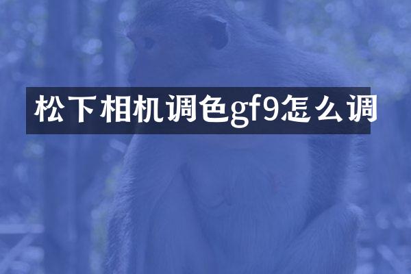 相机调色gf9怎么调