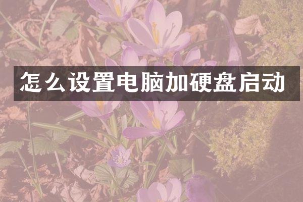 怎么设置电脑加硬盘启动