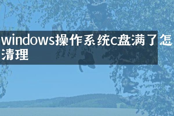 windows操作系统c盘满了怎么清理