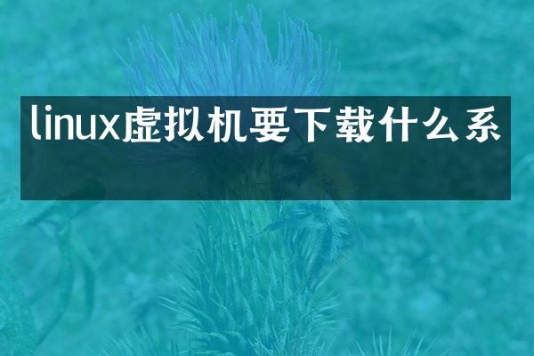 linux虚拟机要下载什么系统