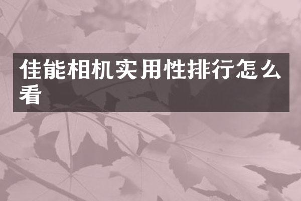佳能相机实用性排行怎么看