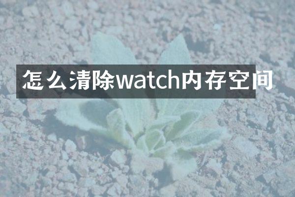 怎么清除watch内存空间
