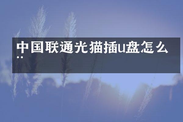 中国联通光猫插u盘怎么用
