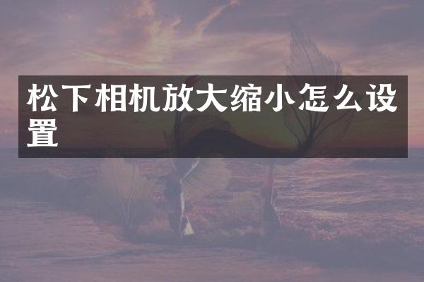 相机放大缩小怎么设置