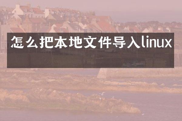 怎么把本地文件导入linux中