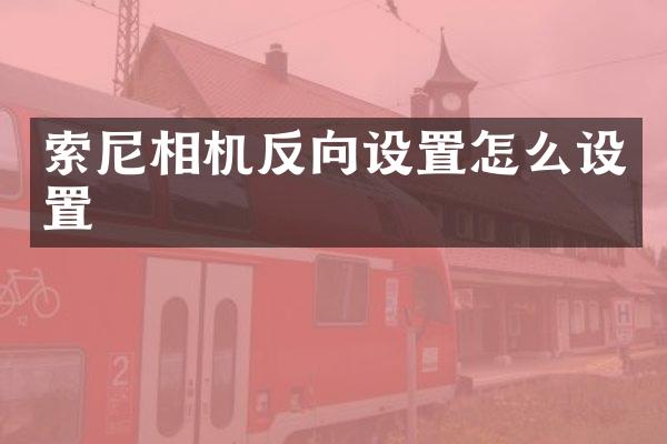 相机反向设置怎么设置