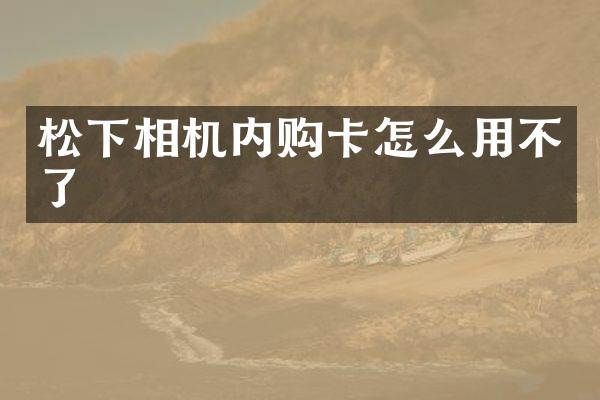 相机内购卡怎么用不了