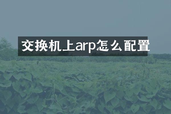 交换机上arp怎么配置