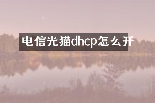 电信光猫dhcp怎么开