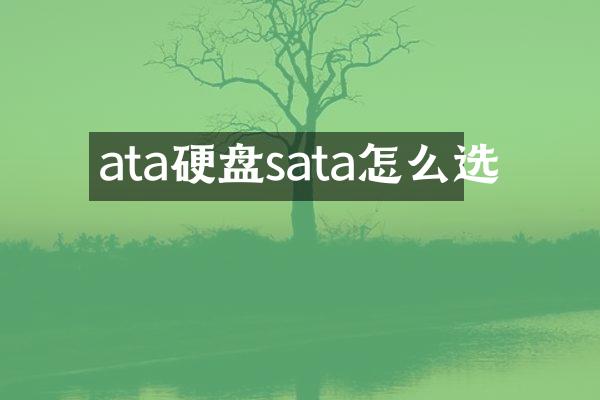 ata硬盘sata怎么选