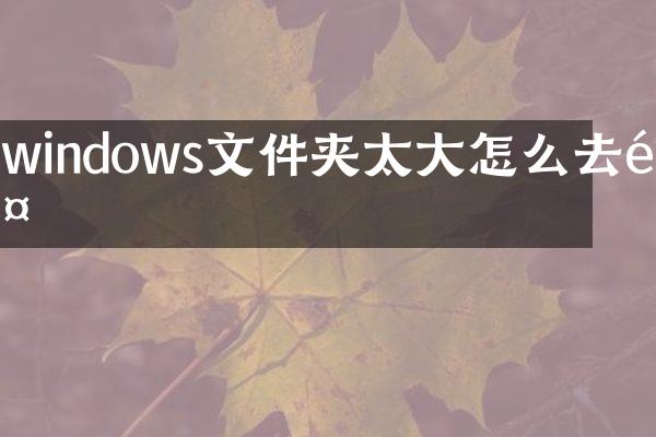 windows文件夹太大怎么去除