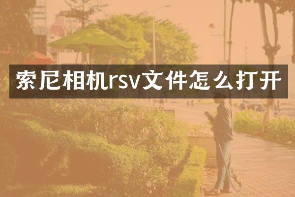相机rsv文件怎么打开