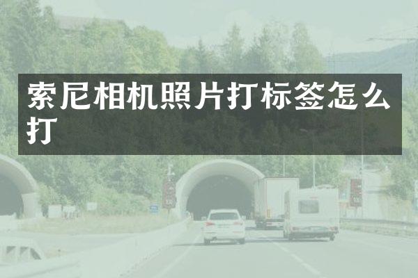 相机照片打标签怎么打