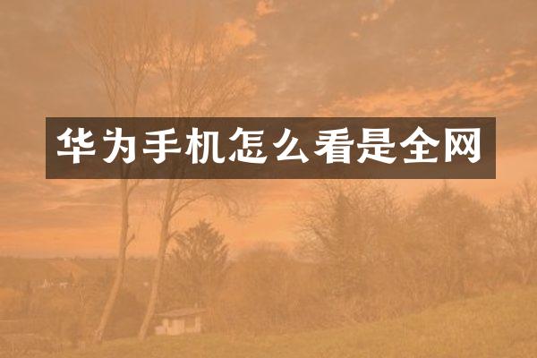 华为手机怎么看是全网