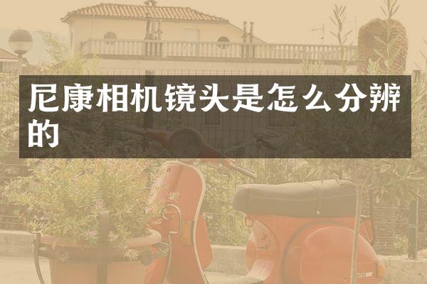 尼康相机镜头是怎么分辨的