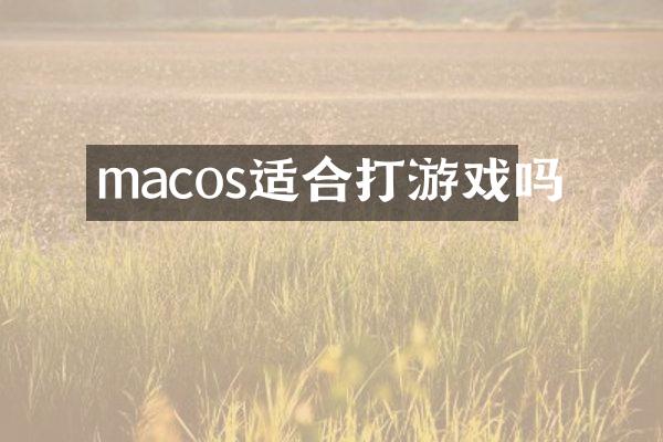 macos适合打游戏吗