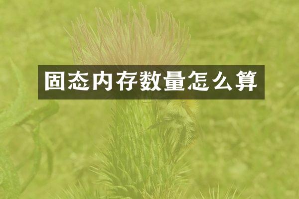 固态内存数量怎么算