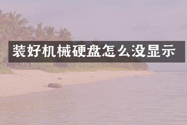 装好机械硬盘怎么没显示