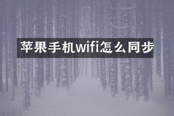 苹果手机wifi怎么同步