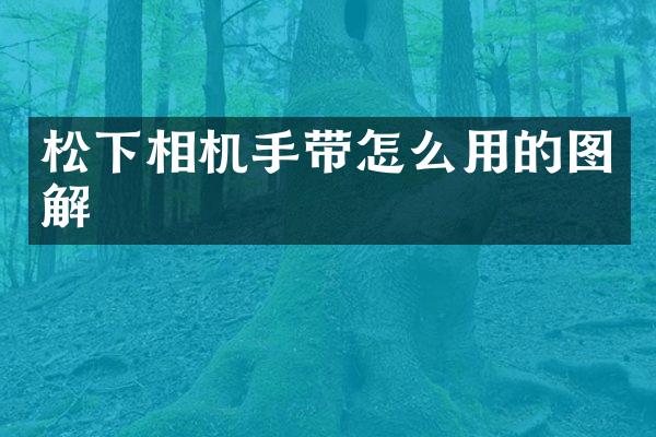 相机手带怎么用的图解