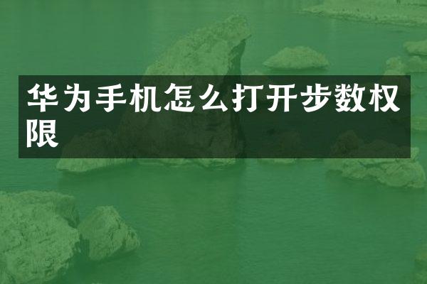华为手机怎么打开步数权限