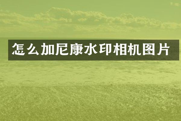 怎么加尼康水印相机图片