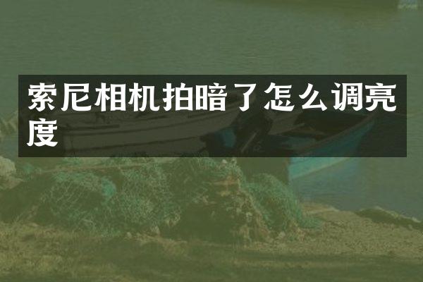 相机拍暗了怎么调亮度