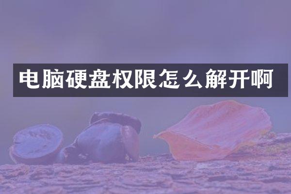 电脑硬盘权限怎么解开啊