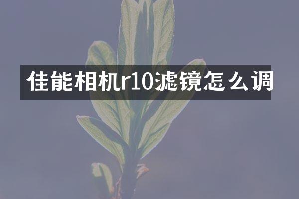 佳能相机r10滤镜怎么调