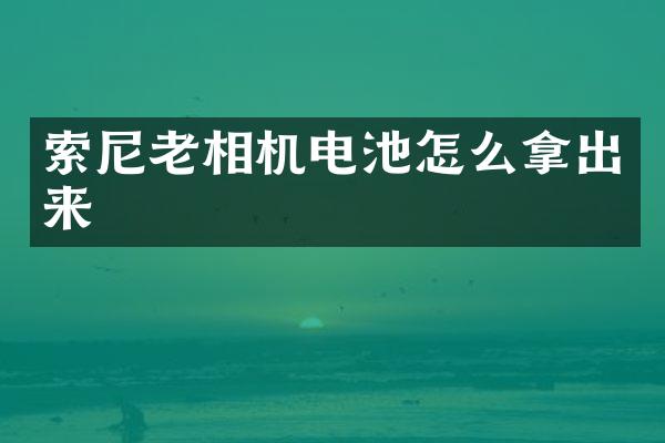 老相机电池怎么拿出来