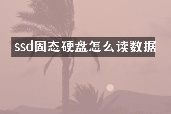 ssd固态硬盘怎么读数据