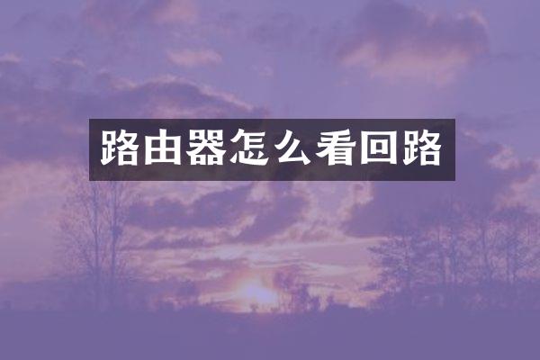 路由器怎么看回路