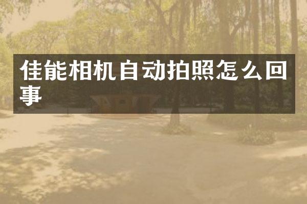 佳能相机自动拍照怎么回事