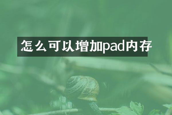 怎么可以增加pad内存