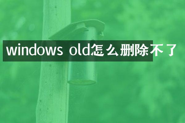windows old怎么删除不了