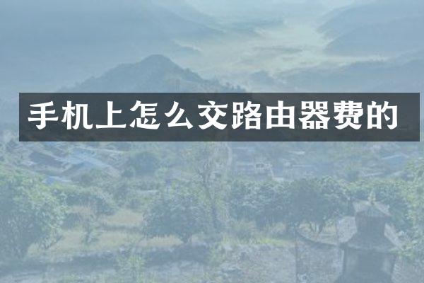 手机上怎么交路由器费的