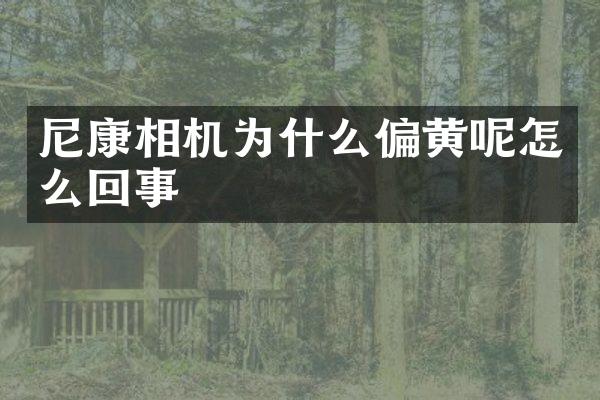 尼康相机为什么偏黄呢怎么回事