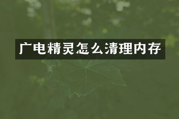 广电精灵怎么清理内存
