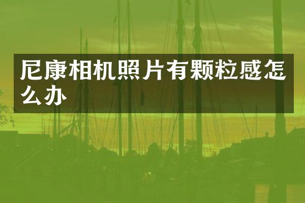 尼康相机照片有颗粒感怎么办