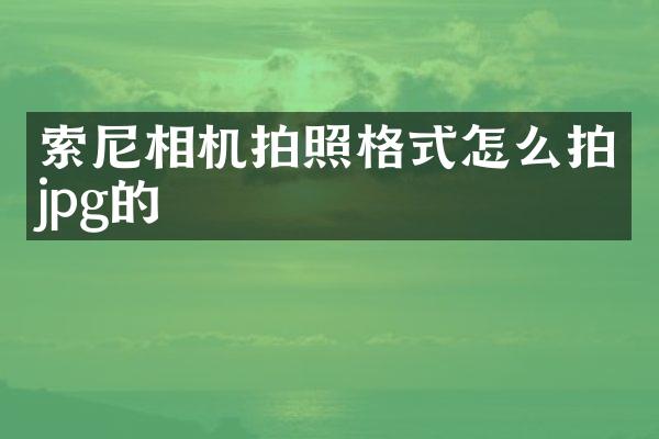 相机拍照格式怎么拍jpg的