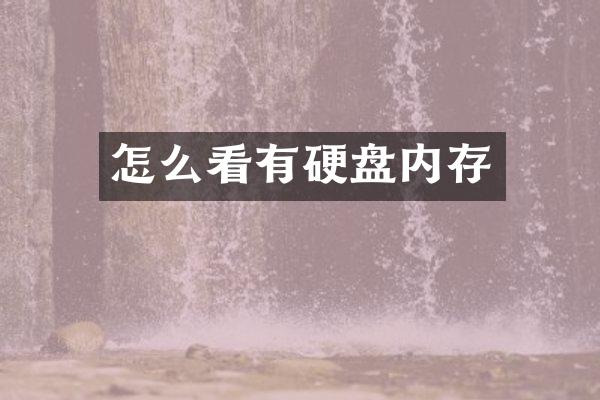怎么看有硬盘内存