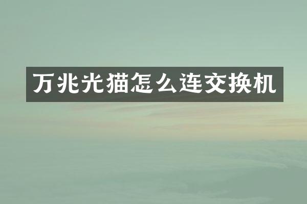 万兆光猫怎么连交换机