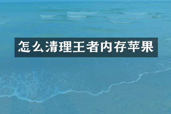 怎么清理王者内存苹果