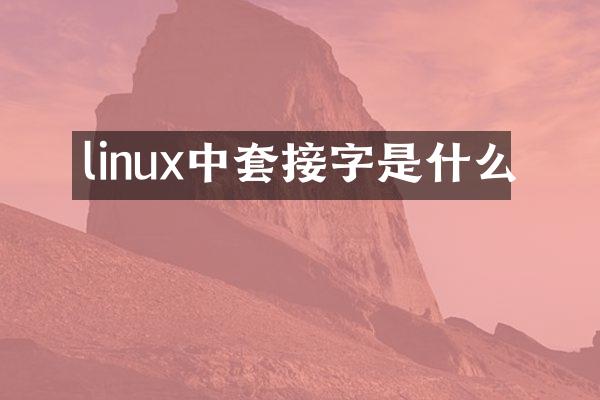 linux中套接字是什么