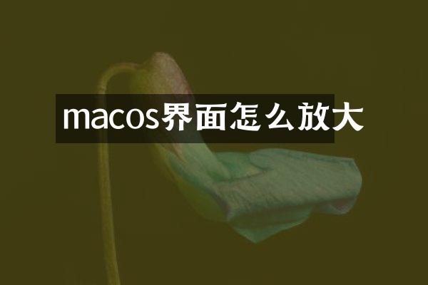 macos界面怎么放大