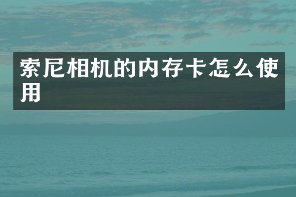 相机的内存卡怎么使用