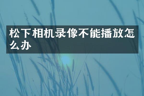 相机录像不能播放怎么办