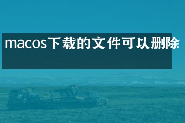 macos下载的文件可以删除吗