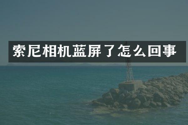 相机蓝屏了怎么回事