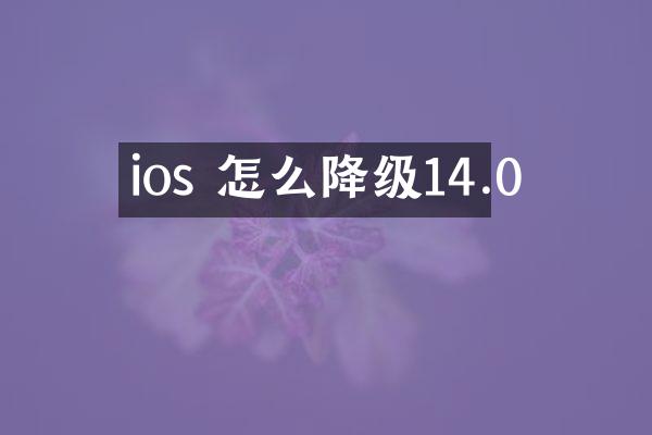 ios 怎么降级14.0